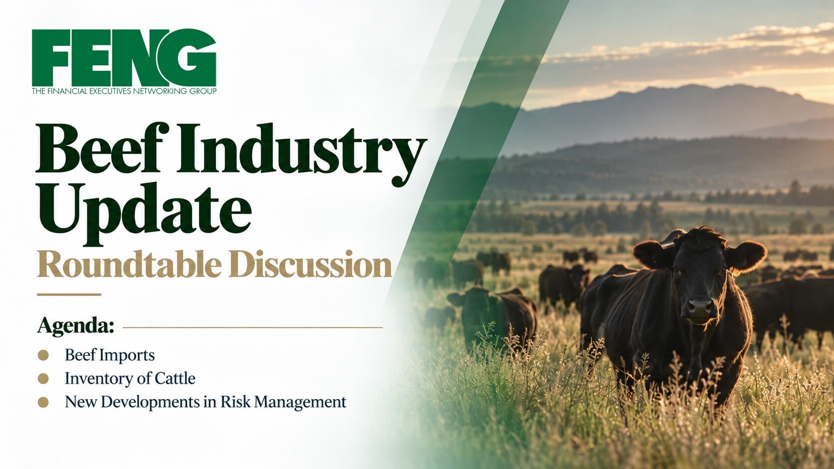 Beef Industry Update
