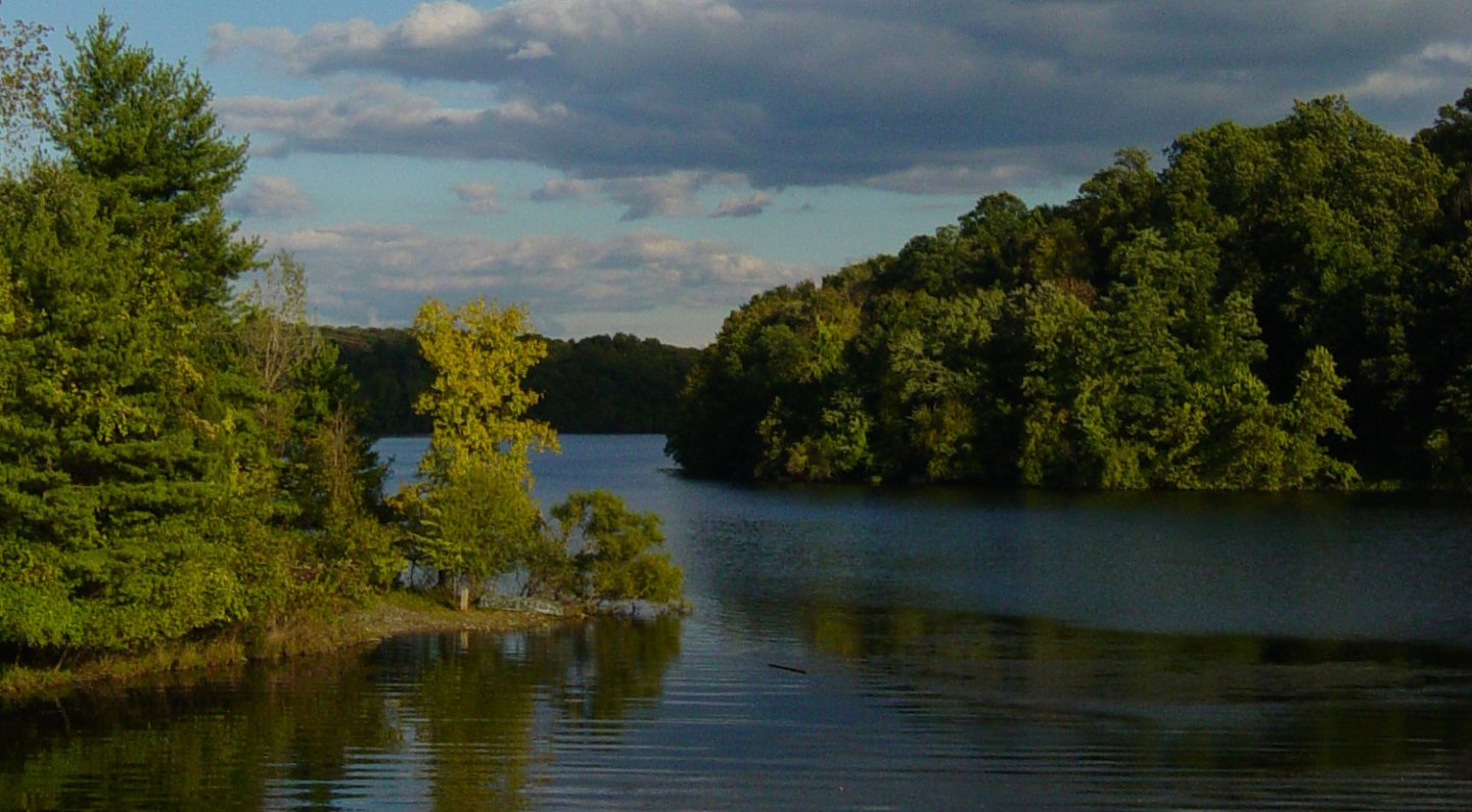 Networking Strategies for Life