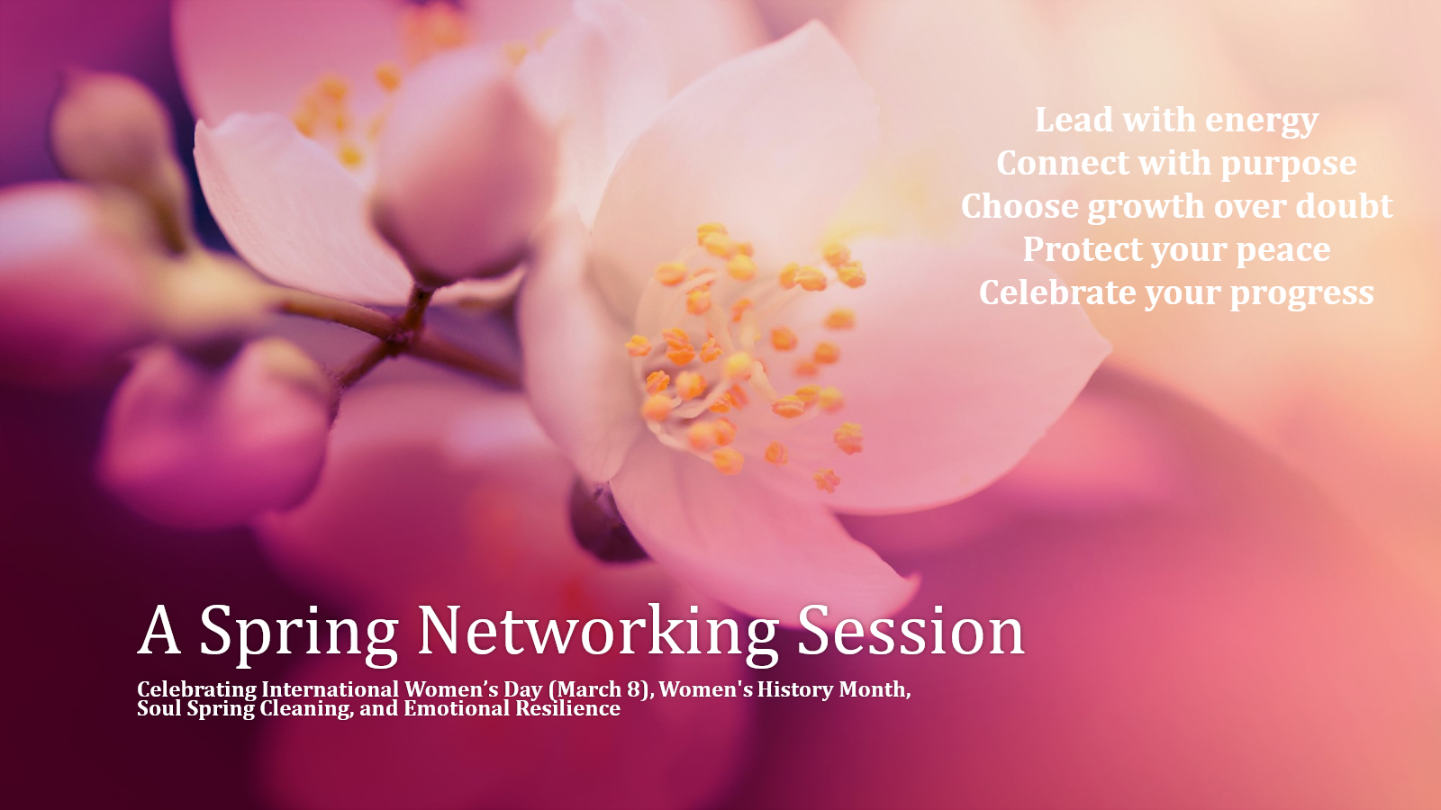 Spring Networking Session: Breakout Room Sessions